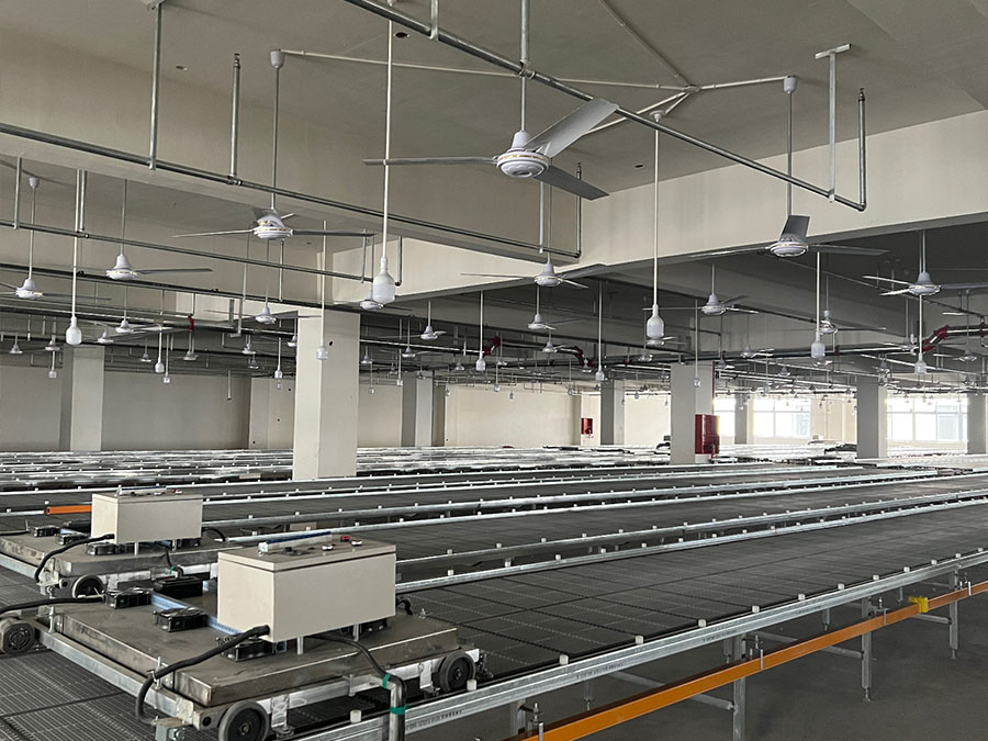 Printing Workshop